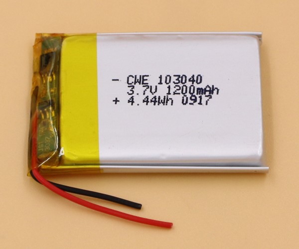 Lithium Polymer Battery Pack (High Capacity Type)